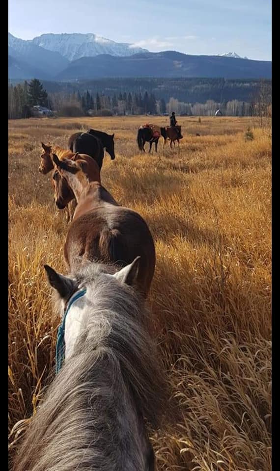 Horse and mountain nature scene at Woven Trails