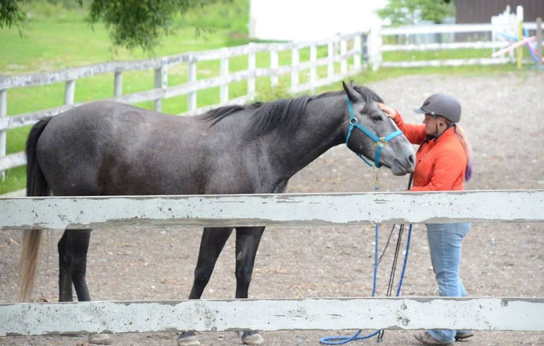 Horse and rider retreat setting