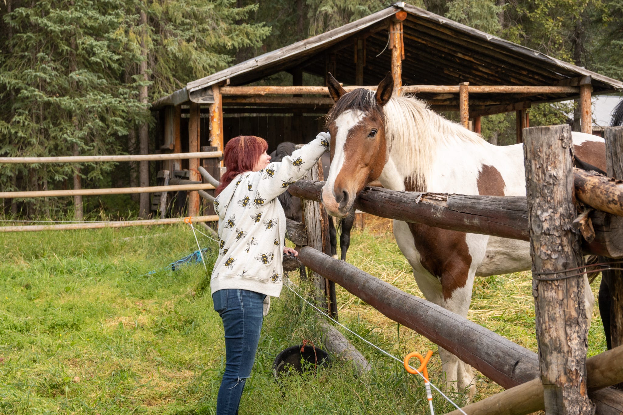 Horse connection at the lodge